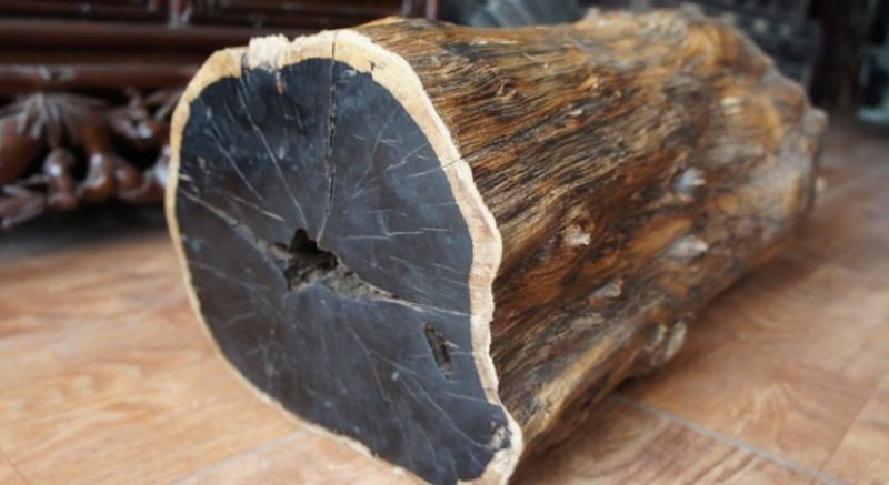 cách nhận biết các loại gỗ